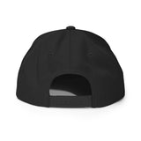 Armor Ditch Snap back Hat